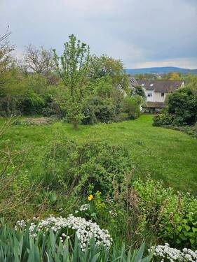 Bild6.jpg - Grundstück in Forchheim zum Kaufen