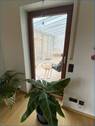 Wohnzimmer Tür zum Wintergarten - 