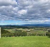Die Kunst das Leben zu genießen - Luxus, Weitblick, Ruhe! Exklusives Refugium mit eigenem Weinberg! - Videm pri Ptuju