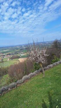 endlich Frühling... - 