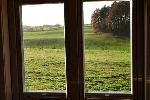Ausblick Küchenfenster - 