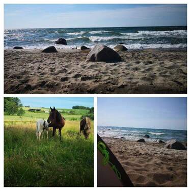 Impressionen Umgebung - 