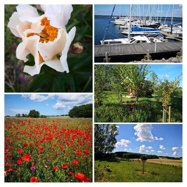 Impressionen Umgebung - 