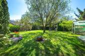Garten hinter dem Haus - 
