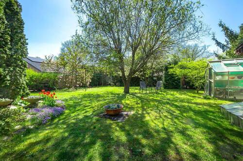 Garten hinter dem Haus - 