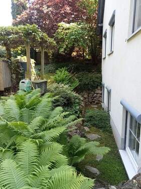Bepflanzung Garten - 