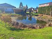 Teich - 