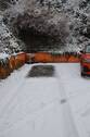 DSC_3656.JPG - 
