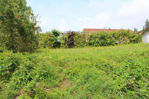 IMG_4768.JPG - Grundstück in Vilshofen an der Donau