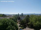 Aussicht vom Balkon - Mit Seesicht vermietete 3 Zi- Wohnung in Radolfzell