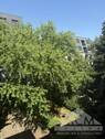 Blick Balkon - 