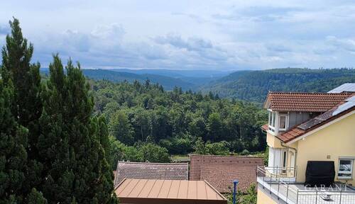 Fensterausblick - 6 Zimmer Doppelhaushälfte zum Kaufen in Waldbronn