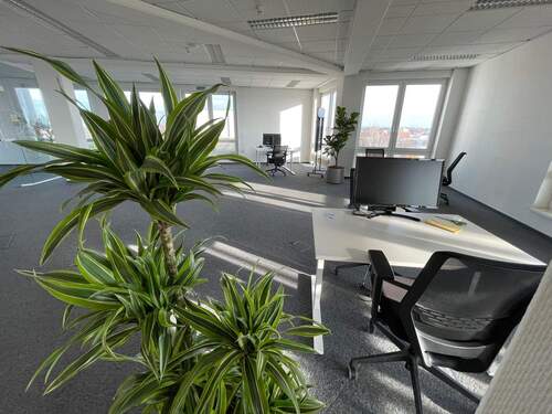 Arbeitsplatz im offenen Bereich - Büro zur Miete in Berlin