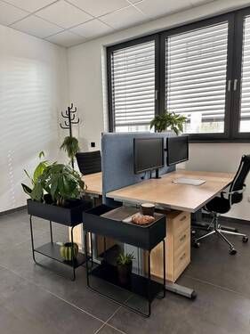 Helles Büro für 1–2 Personen in Brühl - Neubau-Büro 230 m² im Erdgeschoss - barrierefrei, 247, inkl. Internet