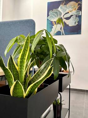 Modernes Büro mit angenehmer Arbeitsatmosphäre - Büro zur Miete in Brühl