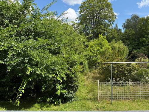 Aussicht ins Grüne - 3 Zimmer Etagenwohnung zur Miete in Frankfurt (Oder)