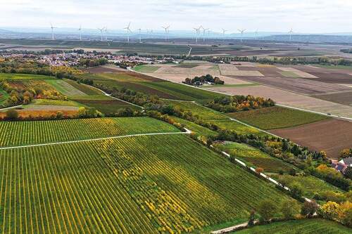 Luftaufnahme - Grundstück in Bornheim