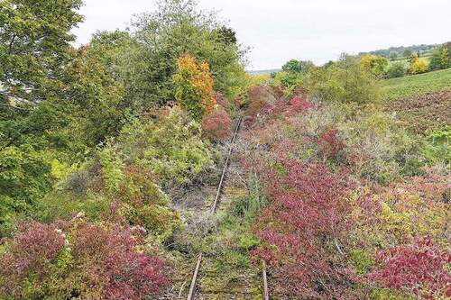 alte Gleise auf dem Grundstück - 
