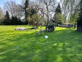 Garten (2) - 