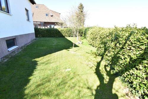 Hinterm Haus - 