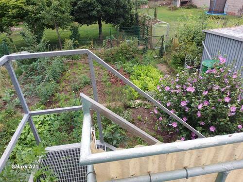 Garten - 