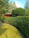 Hecke zwischen den Bungalows - 