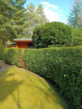 Hecke zwischen den Bungalows - 