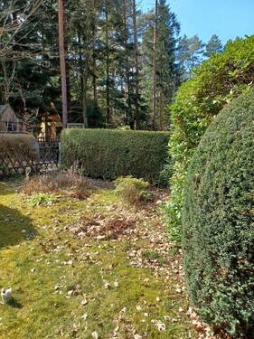 Eingang - Einfamilienhaus in Dahlen zum Kaufen