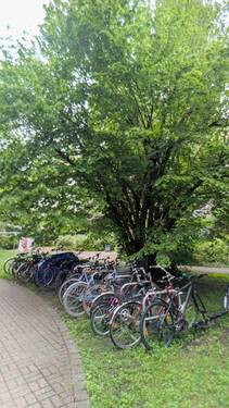 Gebaeude-10.jpg - 