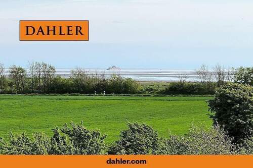 Meerblick (Mühle) - Exklusives Anwesen mit Meerblick und Pferdekoppel (3x genehmigte Ferienwohnungen)