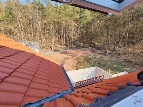 Ausblick Garten - 