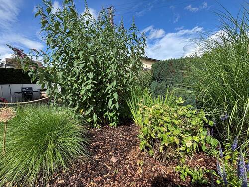 Teil der Aussenanlage - 4 Zimmer Mehrfamilienhaus, Wohnhaus zur Miete in Runkel