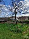 Garten mit Gewaechshaus - 
