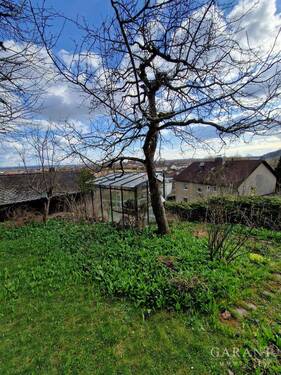Garten mit Gewaechshaus - 