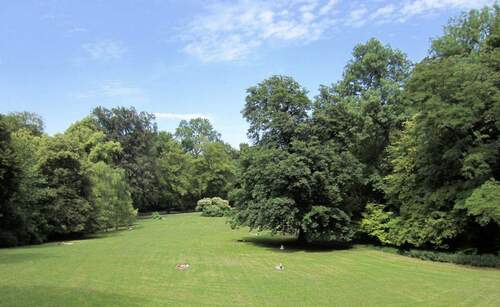 Bild 1 - Garten Wohnung Maria-Theresia-Strasse Altbogenhausen
