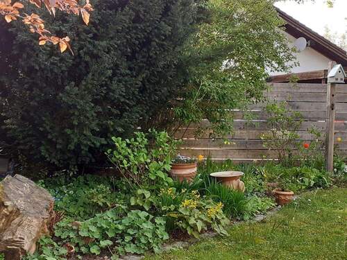 Garten zur Straße - 