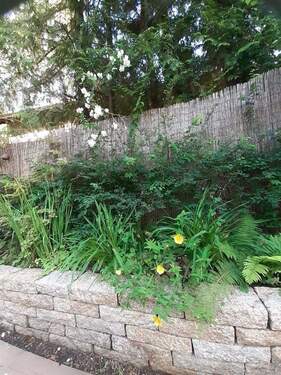 Blick von der Terrasse - 