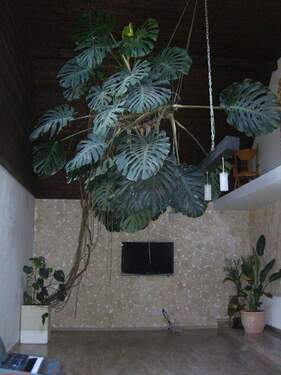 Wohnzimmer nach Norden - 