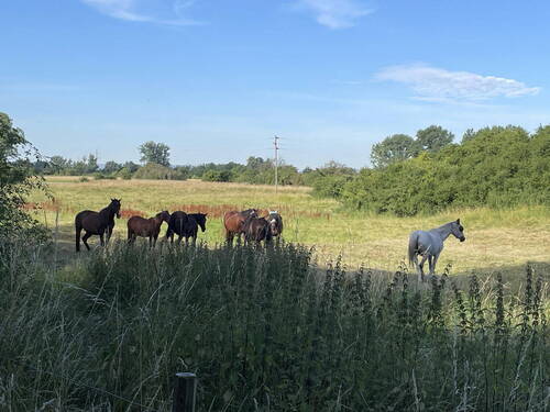 Bild 23 - 