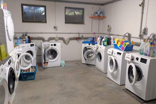 PXL_20251106_113559755.jpg - 