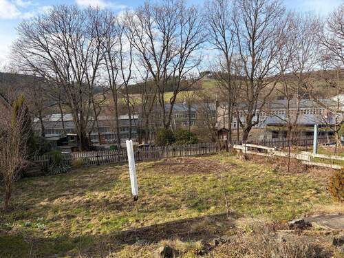 Blick in den Garten - 