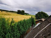 Blick ins freie Land - 