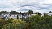 Drohne - 