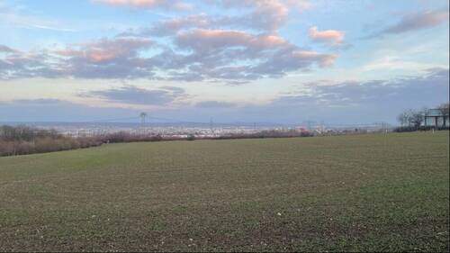 Blick von der Terrasse - 5 Zimmer Einfamilienhaus zum Kaufen in Dresden