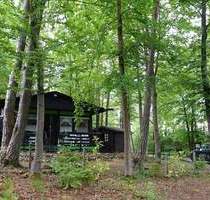 Ferienhaus in waldreicher Höhenlage - Blankenheim Ahrdorf