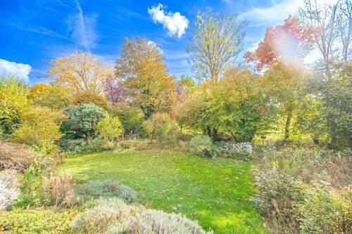 Traumlage am Feldrand - 