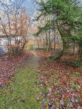 Grundstücks-Eingang - Grundstück in Sebnitz