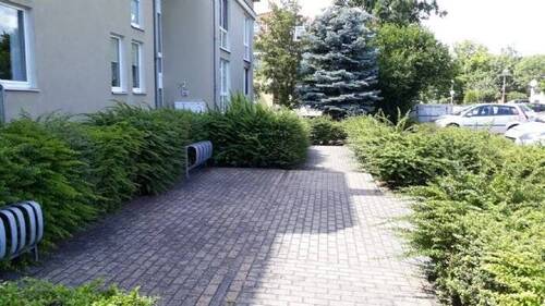 Bild 11 - 