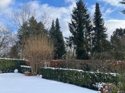 verschneiter Garten - 