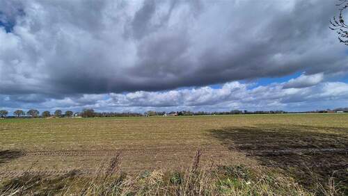 angrenzende Felder - 